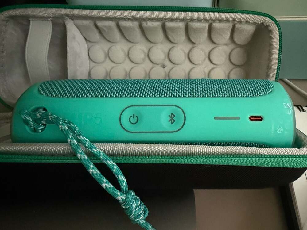 JBL Flip 6 Portable Waterproof Bluetooth Speaker with Carrying Case - Teal